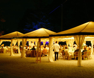 Wedding Reception